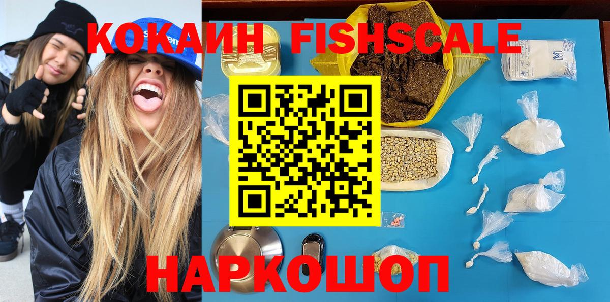 Новозыбков  цена наркотик  Кокаин 99%  Вход с VPN  COCAIN Fish Scale 