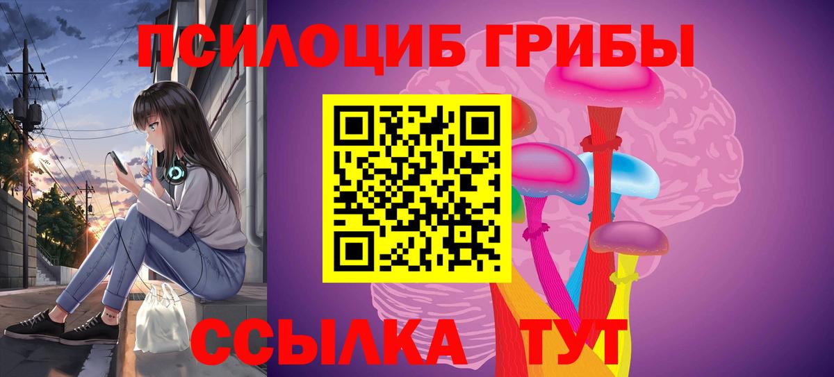 Псилоцибиновые грибы ЛСД Новозыбков