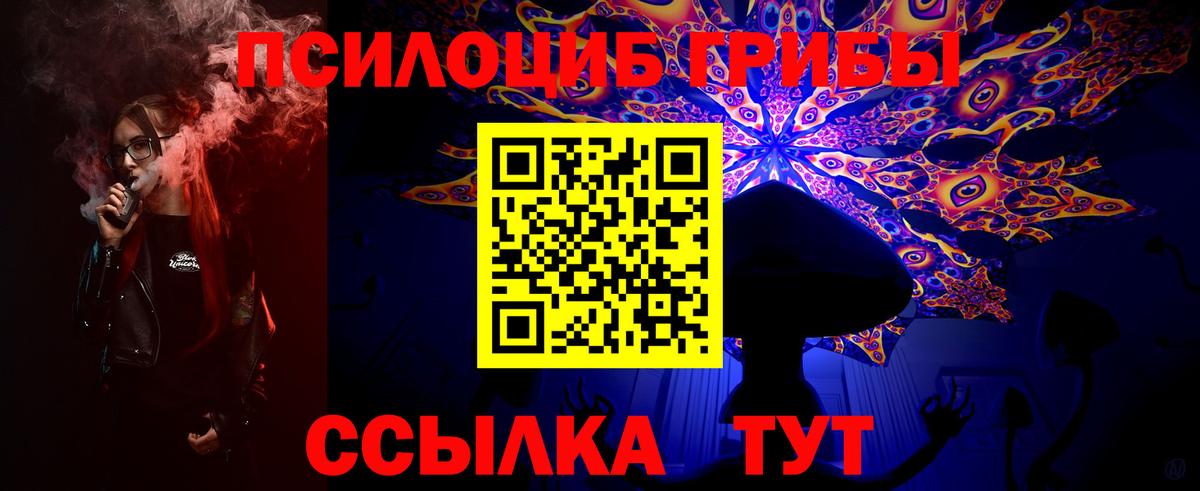 Псилоцибиновые грибы GOLDEN TEACHER  Псилоцибиновые грибы GOLDEN TEACHER  Новозыбков  Вход с VPN 