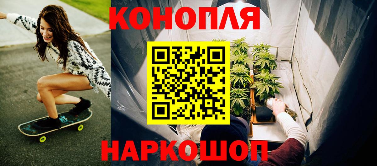 Бошки марихуана конопля Новозыбков